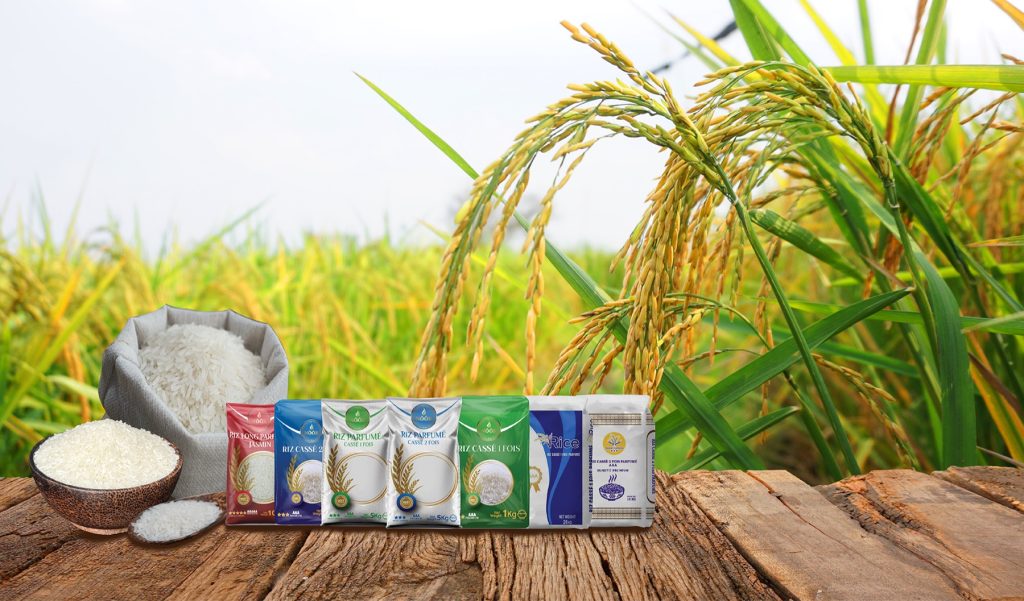 Rizière cambodgienne et gamme de riz conditionnés